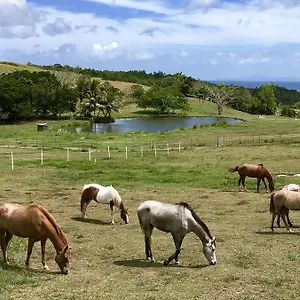 La Ferme Des Etangs Hébergement de vacances